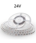 Rubans LED Monocouleur 24V