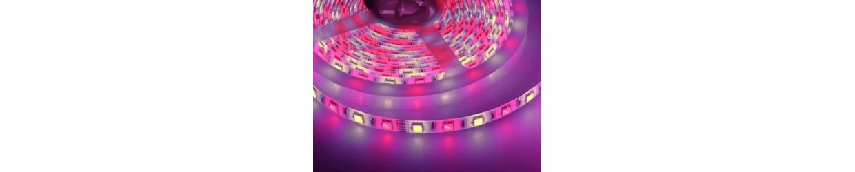 Rubans LED RGB+W