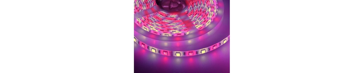 Rubans LED RGB+W 12V