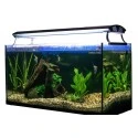 &Eacute;clairage Aquarium