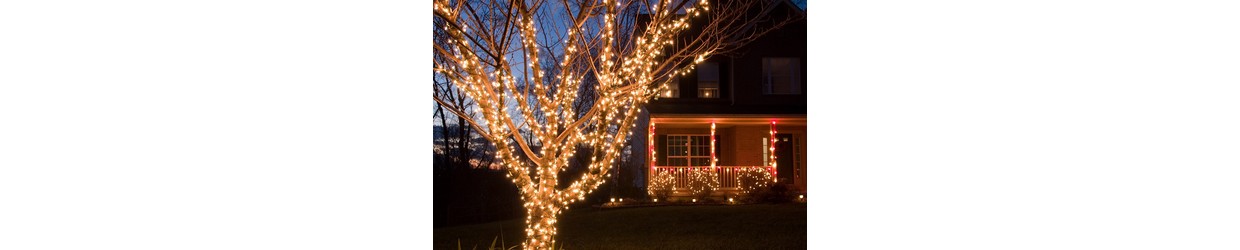 Lumières de Noël