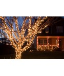 Lumières de Noël